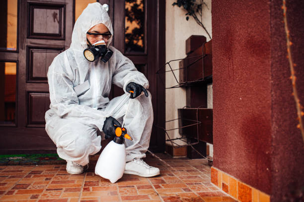 Reliable Ant Control contractor in Ellsworth, KS by Show Me Pest Control